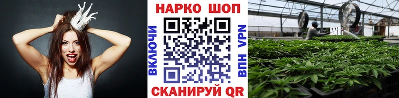 Галлюциногенные грибы Володарск