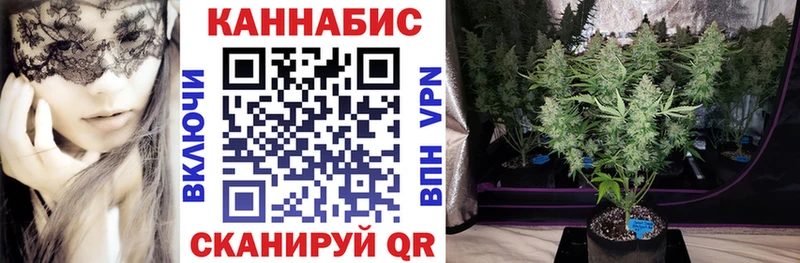 Какие есть наркотики Володарск Псилоцибиновые грибы КОКАИН Меф Амфетамин ГАШИШ Каннабис А ПВП