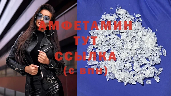 прущие грибы Вязьма