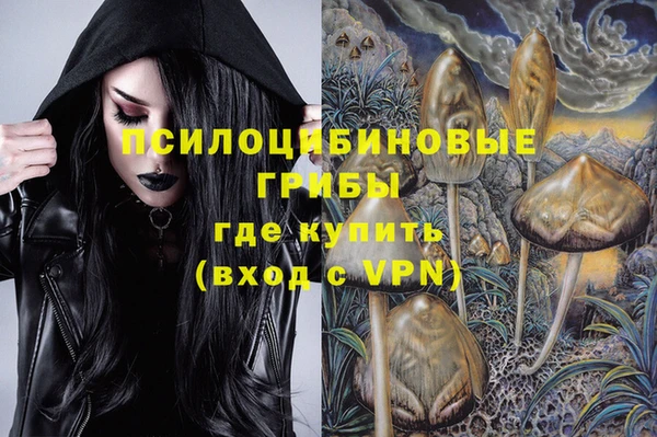 мет Белокуриха